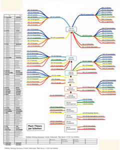 Cards Plant theory - map