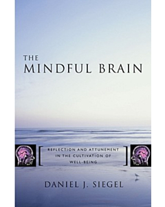 The Mindful Brain