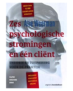 Zes psychologische stromingen en één client