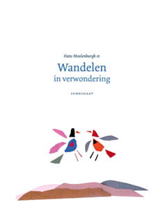 Wandelen in verwondering