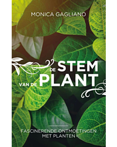 De stem van de plant