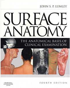 Surface Anatomy