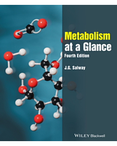 Metabolism at a Glance