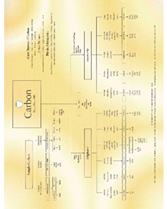 Chart of Carbon Remedies